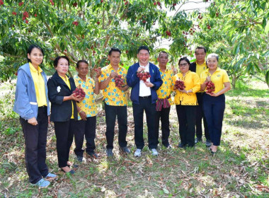 อธิบดีกรมส่งเสริมสหกรณ์ ลงพื้นที่เยี่ยมชมแปลงลิ้นจี่ ... พารามิเตอร์รูปภาพ 29